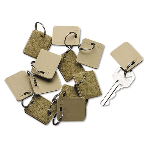 Extra Blank Hook and Loop Tags, Security-Backed, 1.13 x 1, Beige, 12/Pack-(ICX94190029)