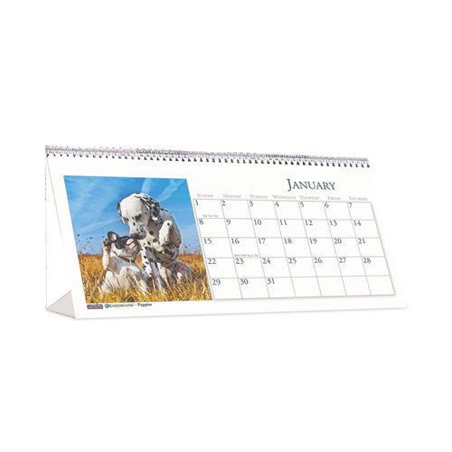 Earthscapes Recycled Desk Tent Monthly Calendar, Puppies Photography, 8.5 x 4.5, White/Multicolor Sheets, 2023-(HOD3659)