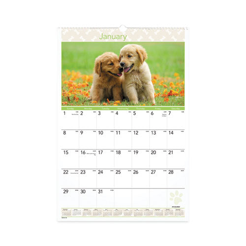 Puppies Monthly Wall Calendar, Puppies Photography, 15.5 x 22.75, White/Multicolor Sheets, 12-Month (Jan to Dec): 2023-(AAGDMW16728)