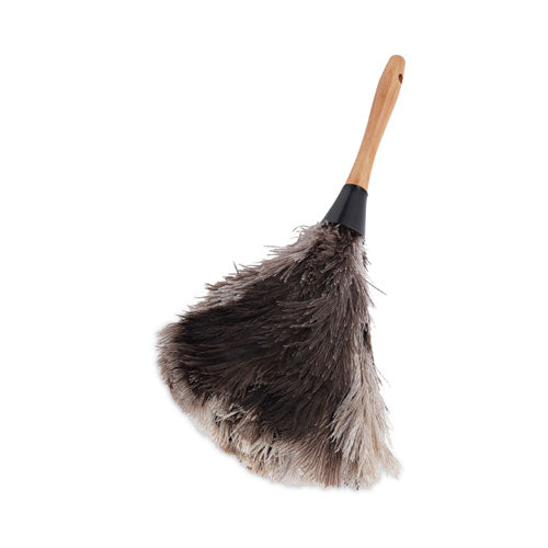 Professional Ostrich Feather Duster, 7" Handle-(BWK13FD)