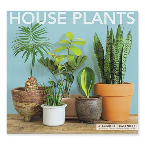 House Plants Wall Calendar, Tranquil Plant Photography, White/Multicolor Sheets, 12-Month (Jan to Dec): 2023-(MEALME3521023)